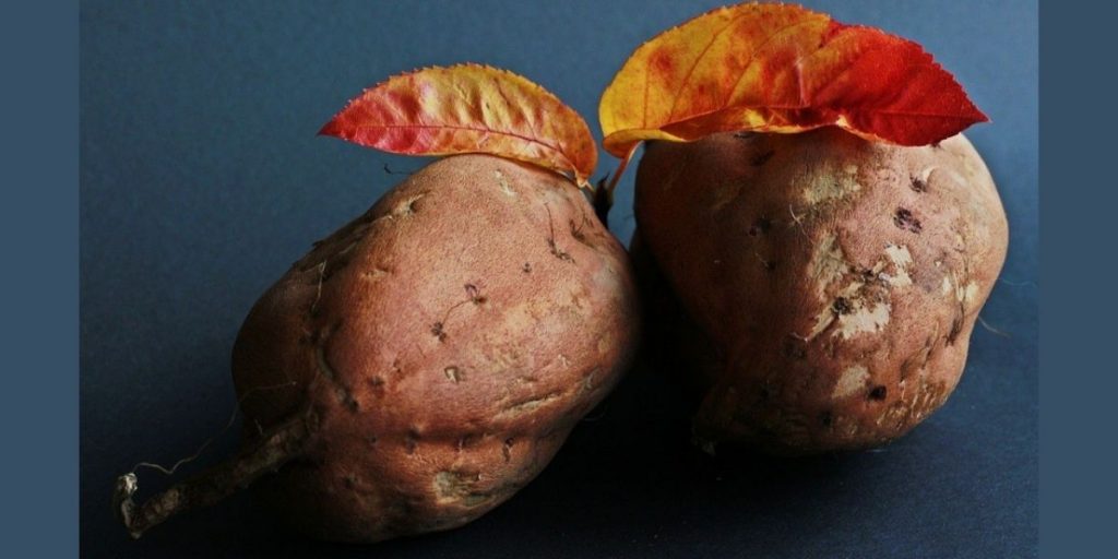 biftekia-glykopatatas-2