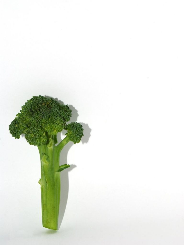brokolo
