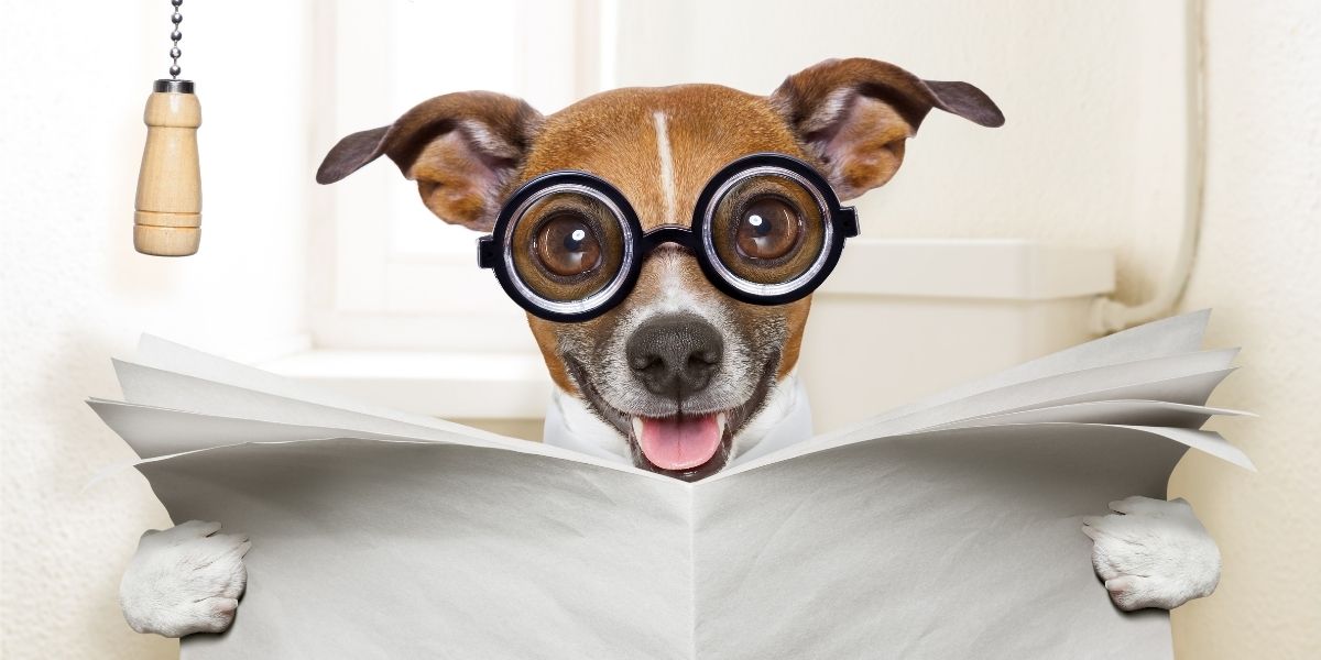 δυσκοιλιότητα