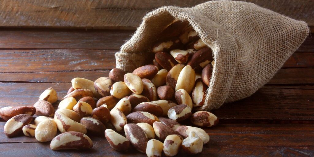 Brazil nuts