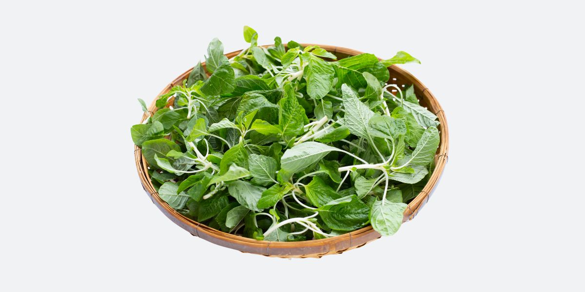 Βλήτα: οφέλη και παρενέργειες