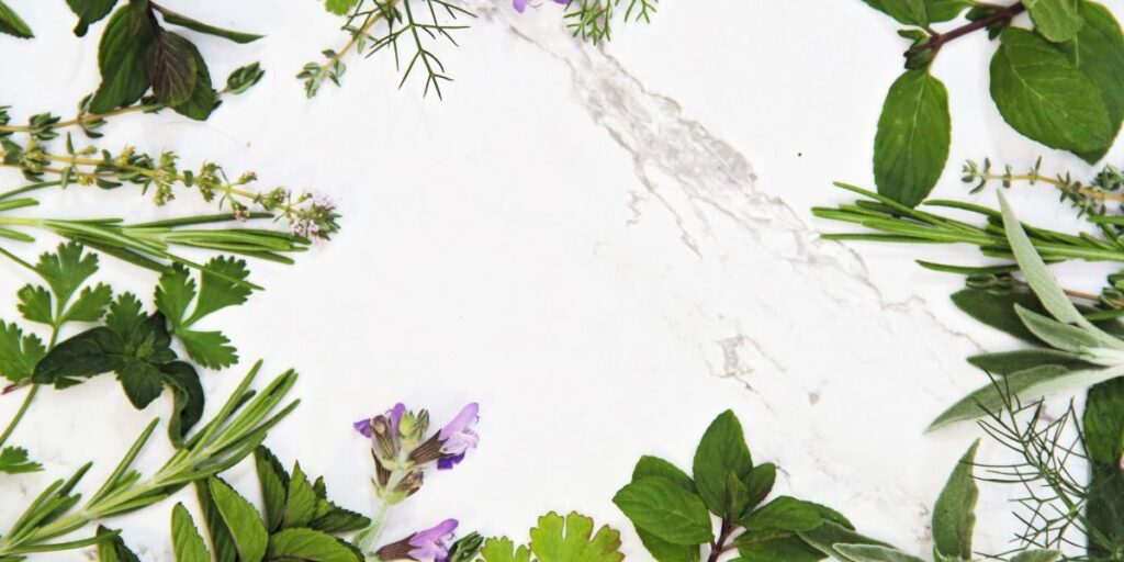 βότανα που απαγορεύονται στην εγκυμοσύνη