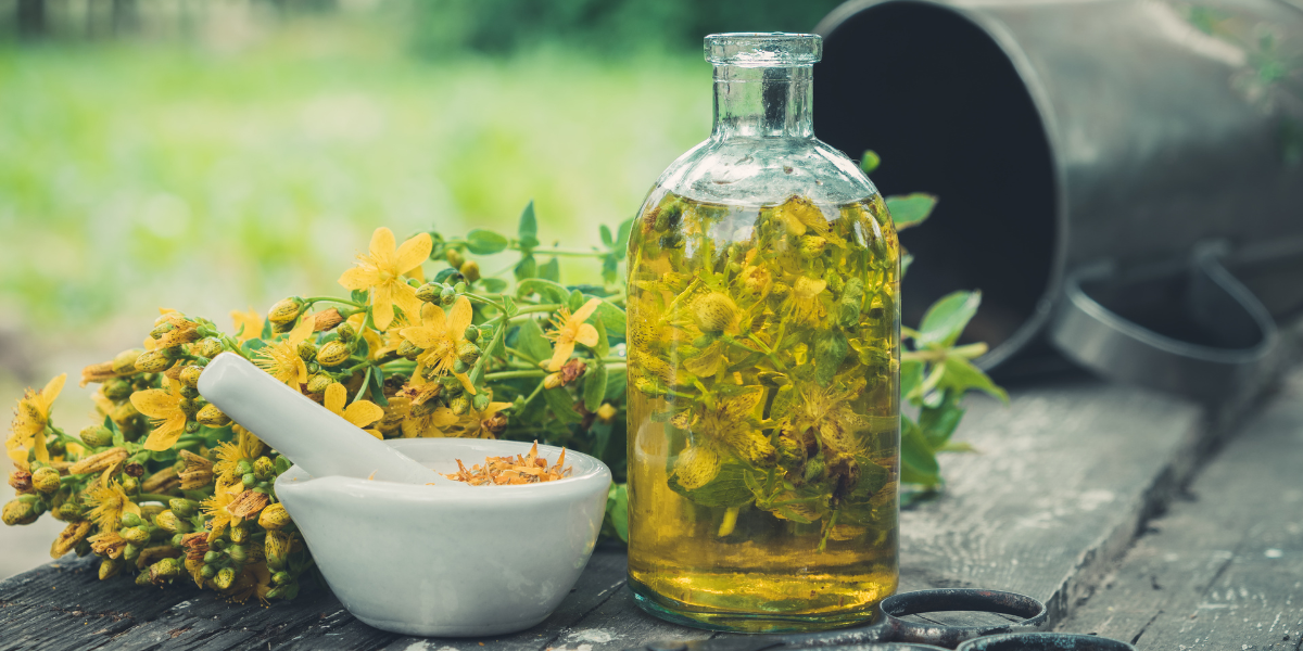 St. John's wort oil